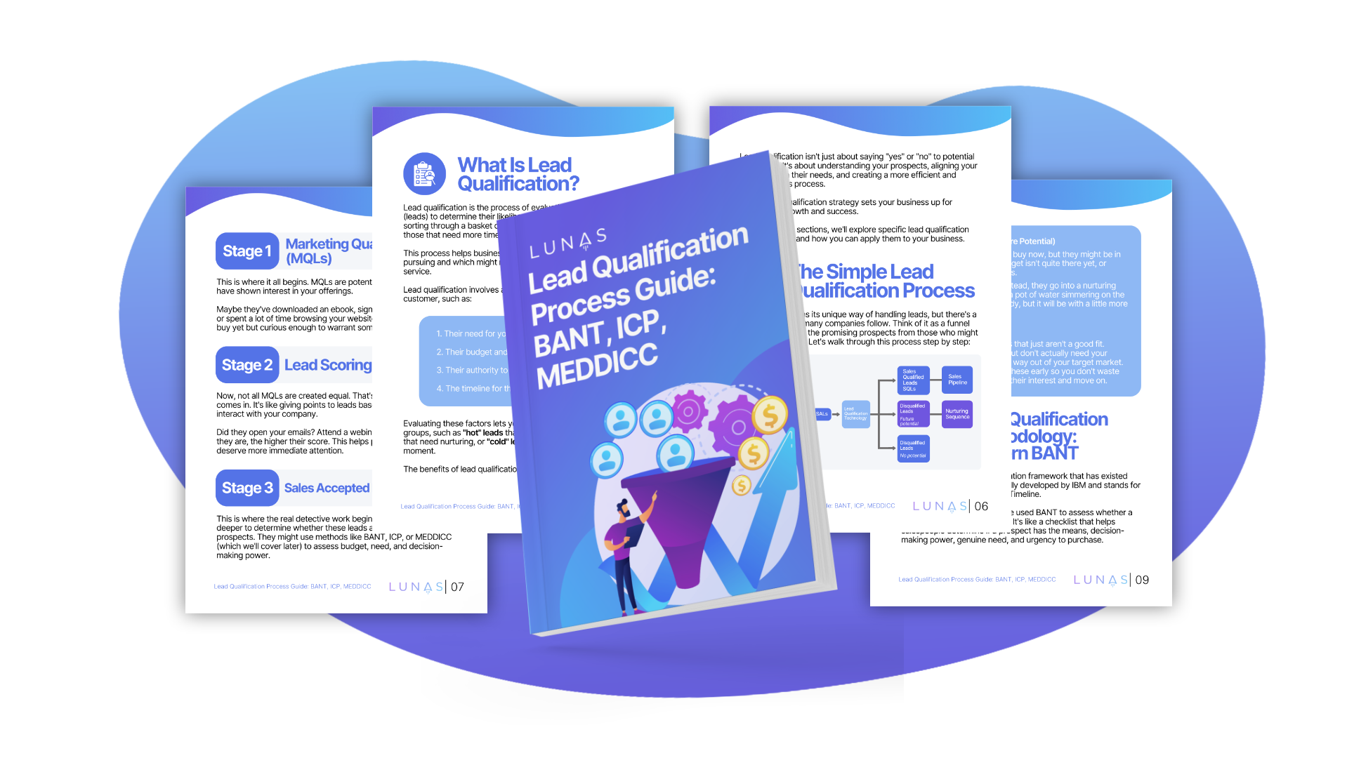 Landing Page Sneak Peek - BANT ICP MEDICC